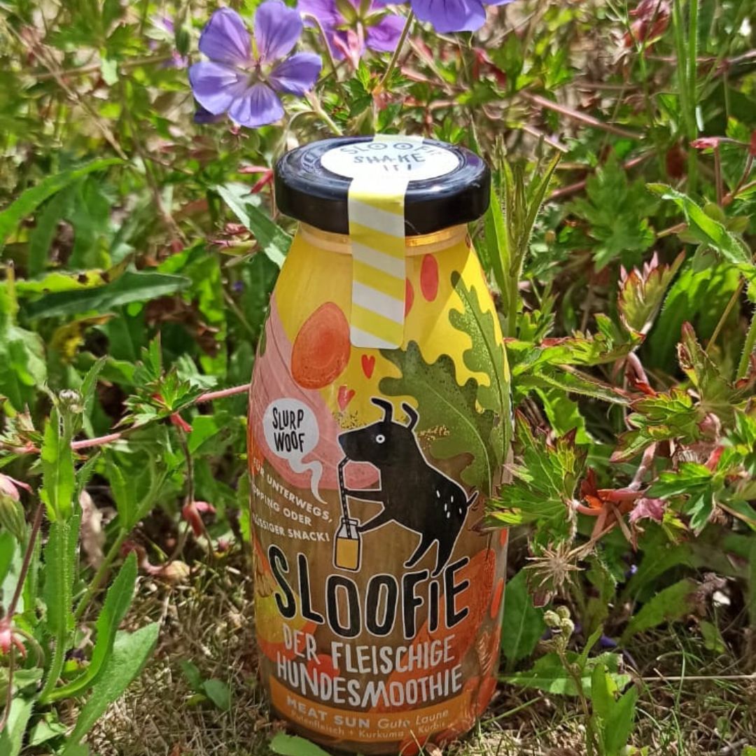 Smoothie Sloofie meat sun pour chien